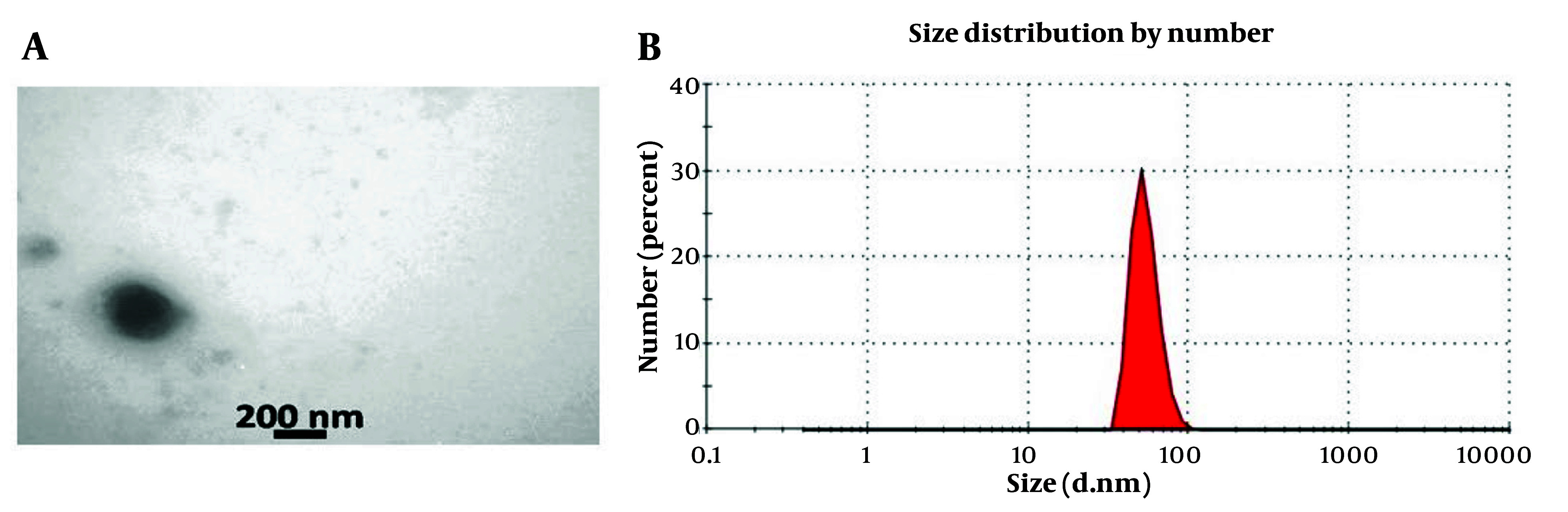 Anti-fibrotic Potential of WJ-MSC Exosomes in Liver Fibrosis: Mechanistic Insights and Dose-Response Efficacy.