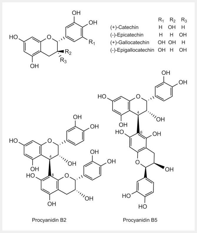 Substantial Differences in Proanthocyanidin Contents among Ginkgo biloba Leaf Extracts in Herbal Medicinal Products Obtained from the German Market.