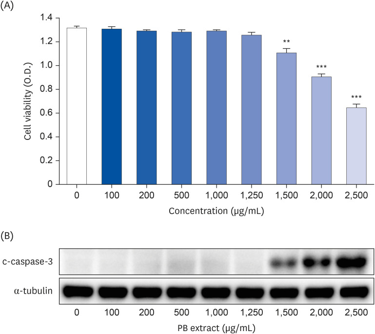 <i>Protaetia brevitarsis</i> larvae extract protects against lipopolysaccharides-induced ferroptosis and inflammation by inhibiting acid sphingomyelinase.