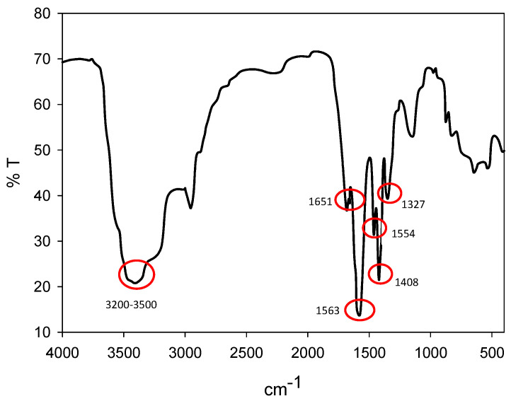 Abstract Image