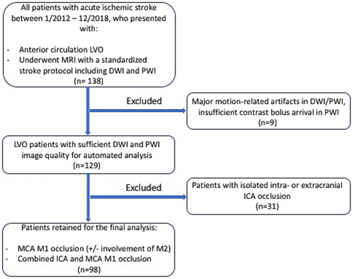 Recruitment of pial collaterals and carotid occlusive disease in large-vessel occlusion ischemic stroke.
