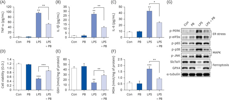 <i>Protaetia brevitarsis</i> larvae extract protects against lipopolysaccharides-induced ferroptosis and inflammation by inhibiting acid sphingomyelinase.