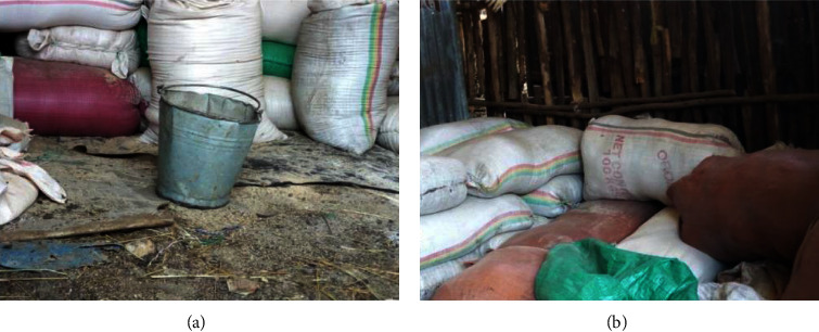 Dairy Farmers' Knowledge, Attitudes, and Practices (KAP) Towards Aflatoxin Contamination in Milk and Feeds in Bahir Dar, Ethiopia.
