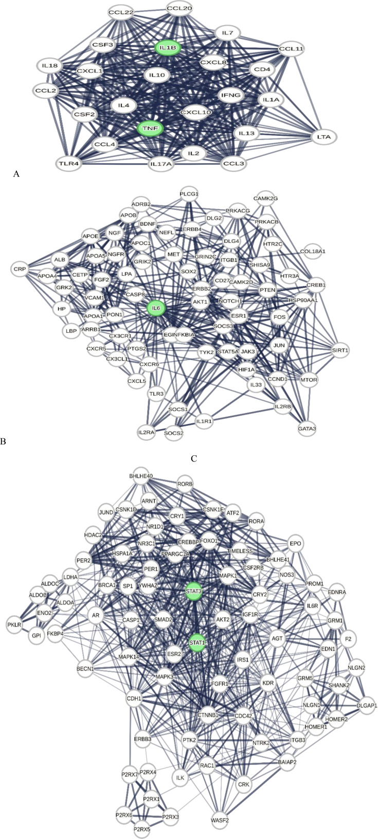 Identifying Key Genes and Approved Medications Associated with Major Depressive Disorder Using Network Analysis and Systems Biology.