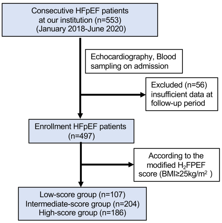Evaluating the Prognostic Value of the Modified H<sub>2</sub>FPEF Score in Patients With Heart Failure With Preserved Ejection Fraction.
