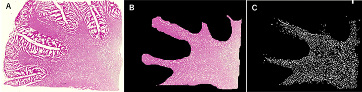 Abstract Image