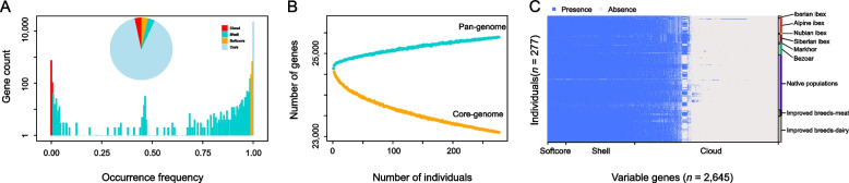 The goat pan-genome reveals patterns of gene loss during domestication.
