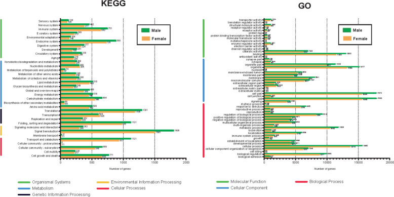 The full-length transcriptional of the multiple spatiotemporal embryo-gonad tissues in chicken (Gallus gallus).
