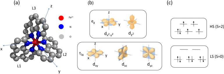Structure and spin of the low- and high-spin states of Fe<sup>2+</sup>(phen)<sub>3</sub> studied by x-ray scattering and emission spectroscopy.