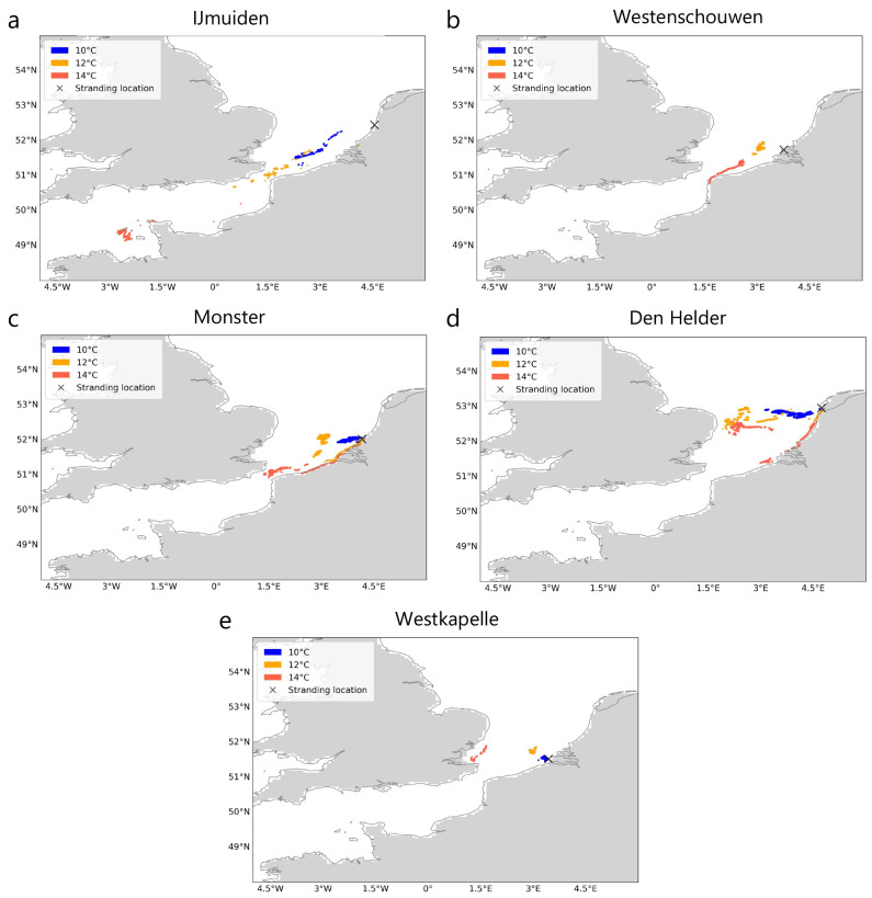 Modelling drift of cold-stunned Kemp's ridley turtles stranding on the Dutch coast.