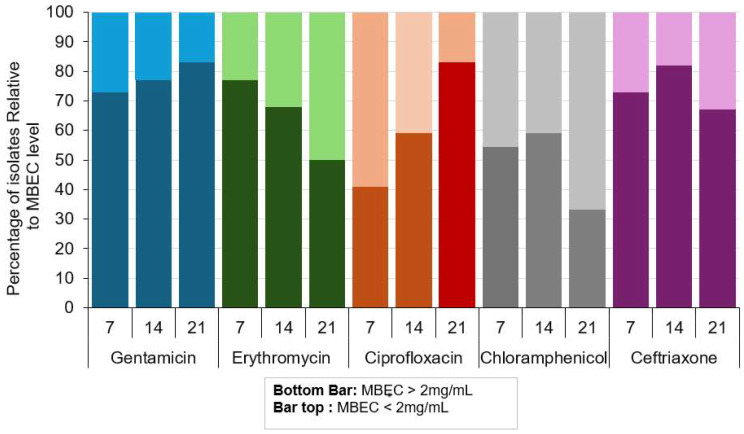 The activity of hydrolytic enzymes and antibiotics against biofilms of bacteria isolated from industrial-scale cooling towers.
