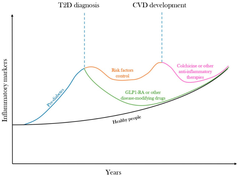 Inflammatory Trajectory of Type 2 Diabetes: Novel Opportunities for Early and Late Treatment.