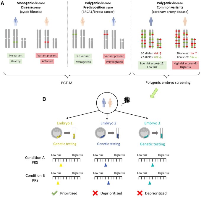 Screening embryos for polygenic disease risk: a review of epidemiological, clinical, and ethical considerations.