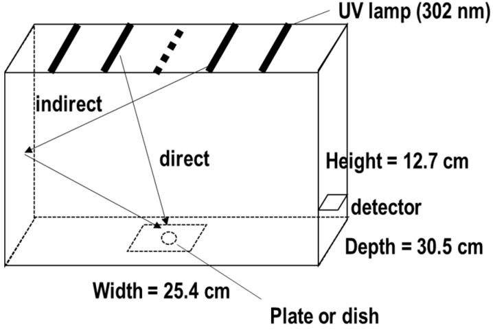 Ultraviolet, Did the Cell See It from the Side or the Bottom? Assessment and Modeling of UV Effects on Cultured Cells Using the CL-1000 UV-Crosslinker.