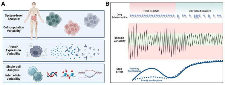 Harnessing Variability Signatures and Biological Noise May Enhance Immunotherapies' Efficacy and Act as Novel Biomarkers for Diagnosing and Monitoring Immune-Associated Disorders.