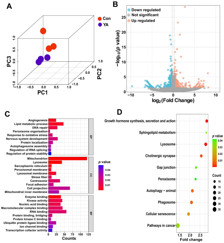 Comprehensive Profiling of Transcriptome and m6A Epitranscriptome Uncovers the Neurotoxic Effects of Yunaconitine on HT22 Cells.