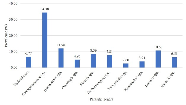 Unveiling the hidden threat: investigating gastrointestinal parasites and their costly impact on slaughtered livestock.