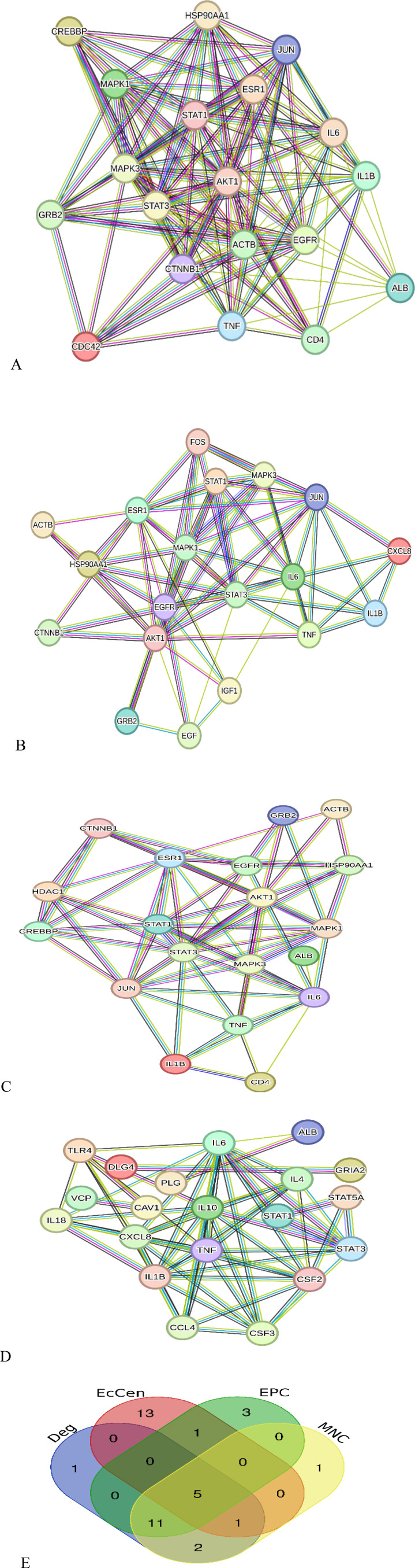 Identifying Key Genes and Approved Medications Associated with Major Depressive Disorder Using Network Analysis and Systems Biology.