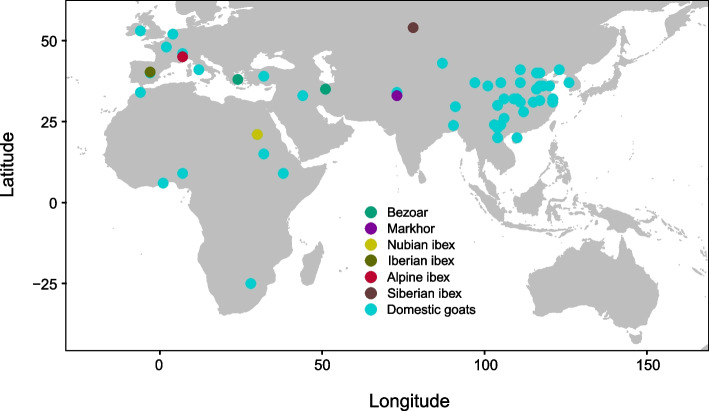 The goat pan-genome reveals patterns of gene loss during domestication.
