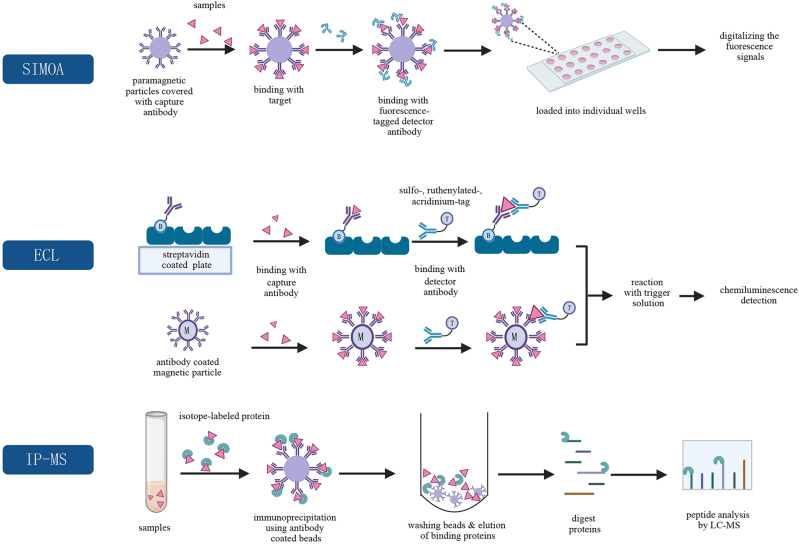 Biofluid biomarkers for Alzheimer's disease: past, present, and future.