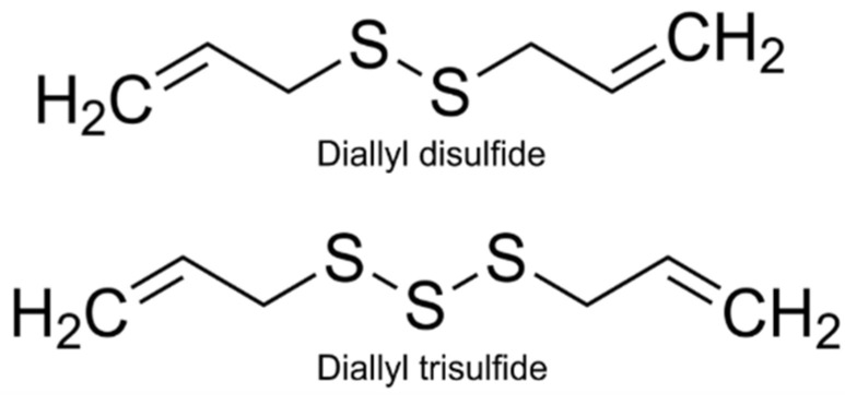 Glutathione Modulates Hydrogen Sulfide Release and the Ocular Hypotensive Action of Diallyl Polysulfide Compounds.