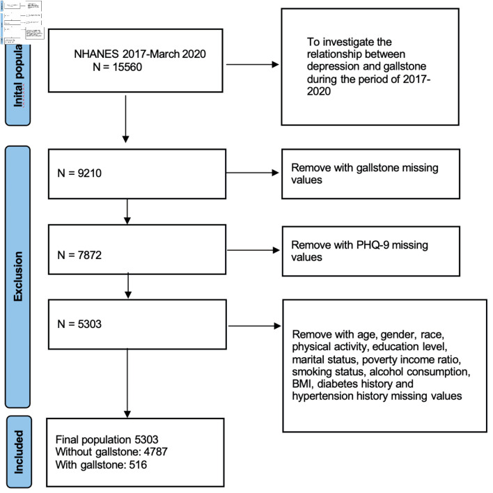 Bridging Three Years of Insights: Examining the Association Between Depression and Gallstone Disease.