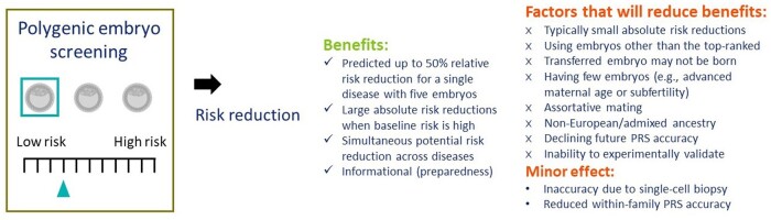 Screening embryos for polygenic disease risk: a review of epidemiological, clinical, and ethical considerations.