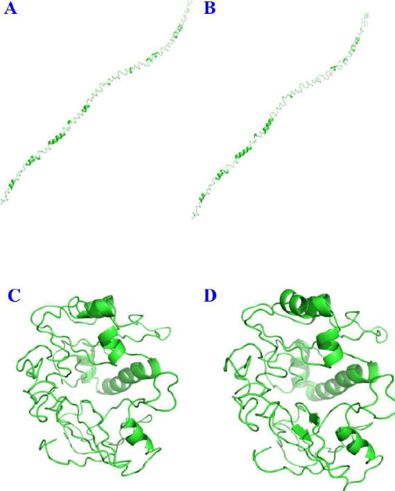 Novel SARS-COV2 poly epitope phage-based candidate vaccine and its immunogenicity.