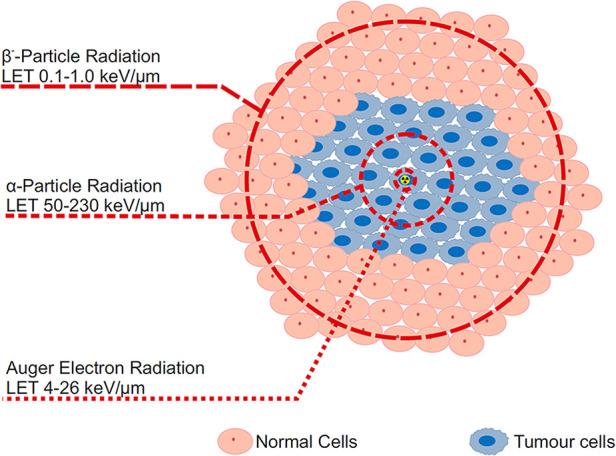 Terbium sisters: current development status and upscaling opportunities.