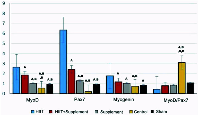 High-intensity interval training, but not Spirulina supplementation, changes muscle regeneration signaling proteins in aged rats with obesity and diabetes.