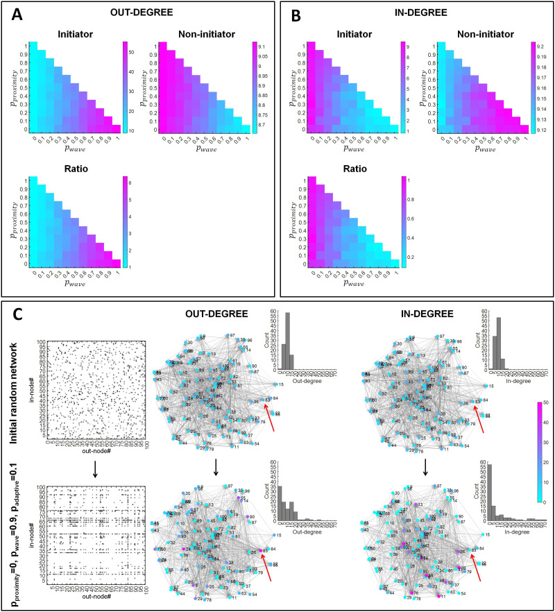 Retinal waves in adaptive rewiring networks orchestrate convergence and divergence in the visual system.
