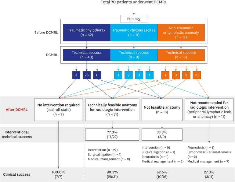 Single-Center Experience With Dynamic Contrast-Enhanced Magnetic Resonance Lymphangiography for Diagnosing Lymphatic Disorders and Guiding Percutaneous Embolization.