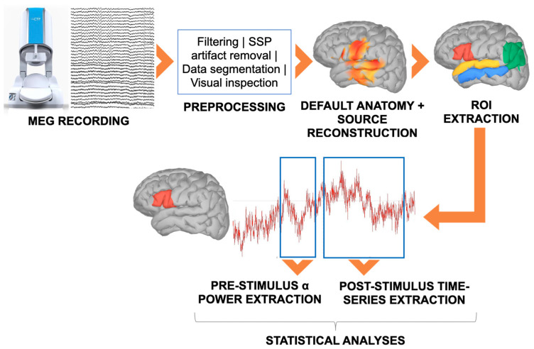 Pre-Stimulus Activity of Left and Right TPJ in Linguistic Predictive Processing: A MEG Study.