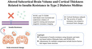 Altered Subcortical Brain Volume and Cortical Thickness Related to Insulin Resistance in Type 2 Diabetes Mellitus