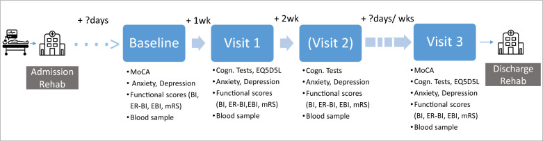 Cognitive recovery of post critical care patients with and without COVID-19: differences and similarities, an observational study.