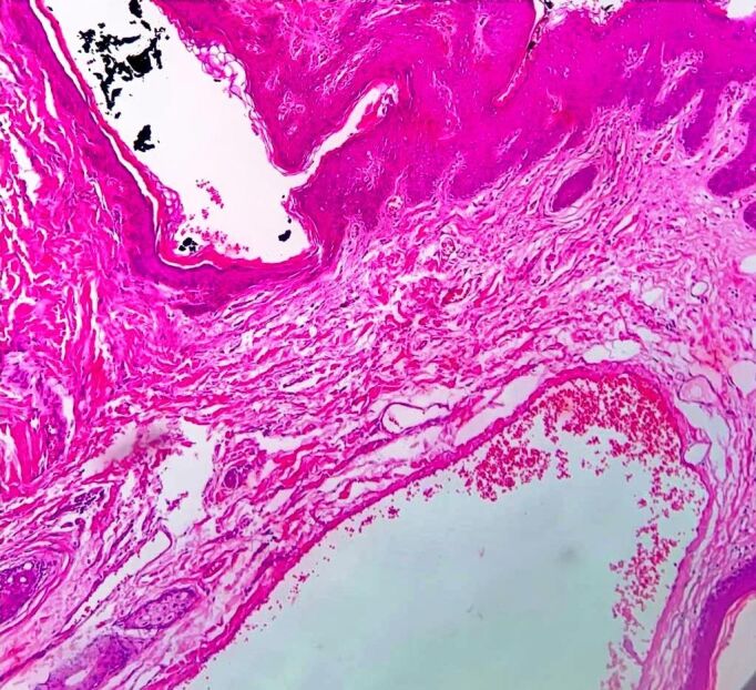 Abstract Image