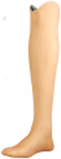 Designing feelings into lower-limb prostheses - A kansei engineering approach to understand lower-limb prosthetic cosmeses.