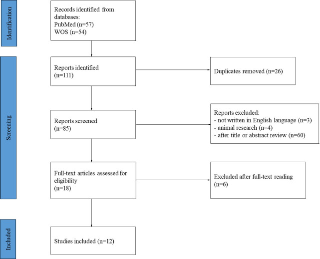 What can we learn about bone density in COPD patients from a chest CT? A systematic review.