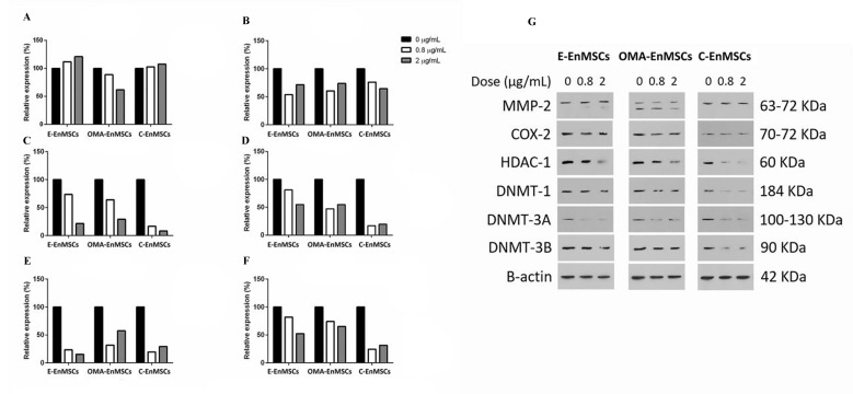 Ceratonia siliqua L. pod Effects on Viability Gene Expression of Endometrial Mesenchymal Stromal/Stem Cells Isolated from Women with Endometriosis-Associated Infertility.