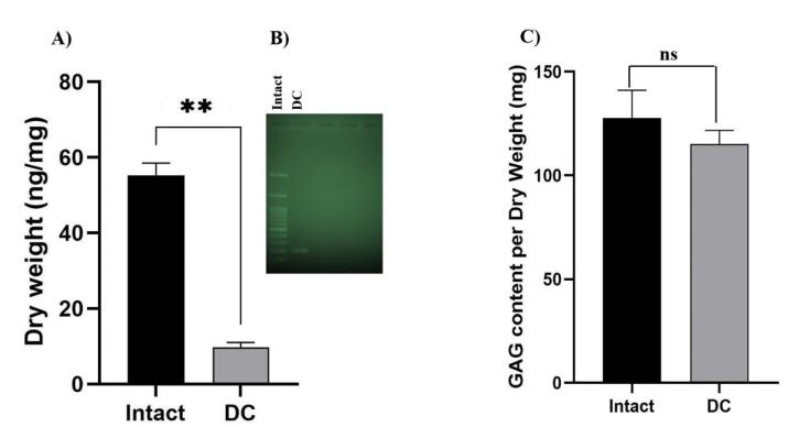 An update on technical method of cartilage decellularization: A physical-based protocol.