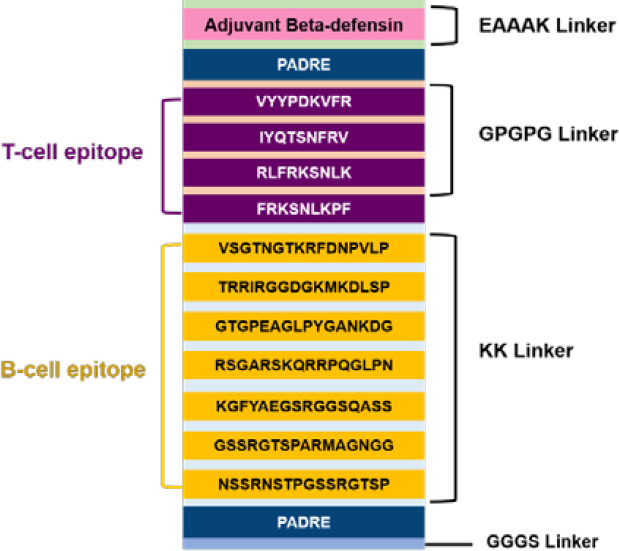 A multi-epitope self-amplifying mRNA SARS-CoV-2 vaccine design using a reverse vaccinology approach.