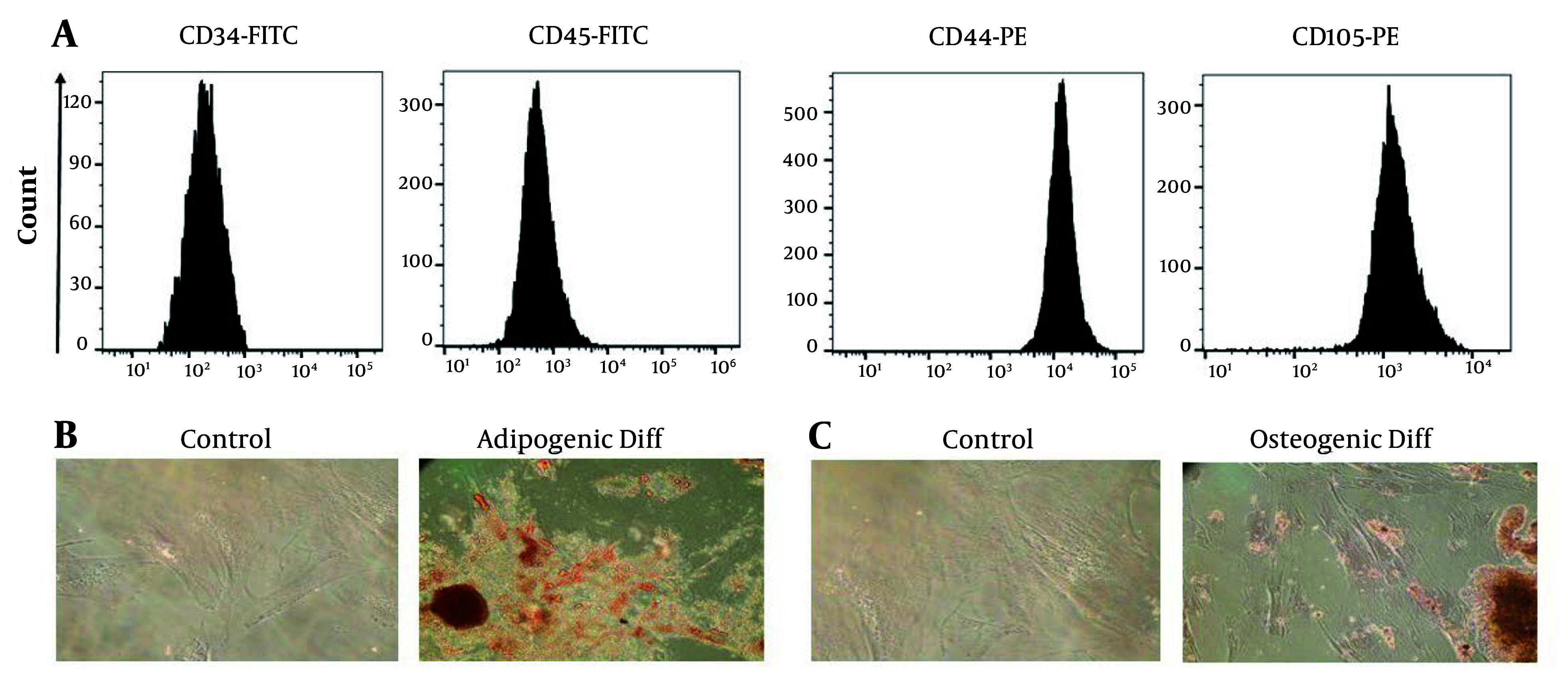 Anti-fibrotic Potential of WJ-MSC Exosomes in Liver Fibrosis: Mechanistic Insights and Dose-Response Efficacy.