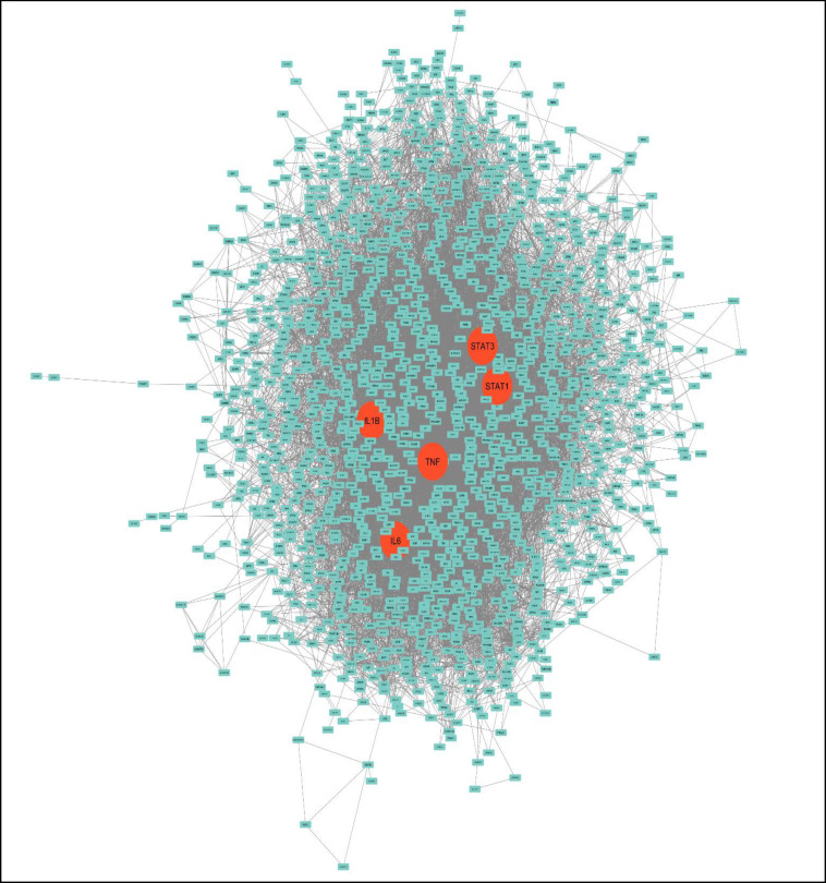 Identifying Key Genes and Approved Medications Associated with Major Depressive Disorder Using Network Analysis and Systems Biology.