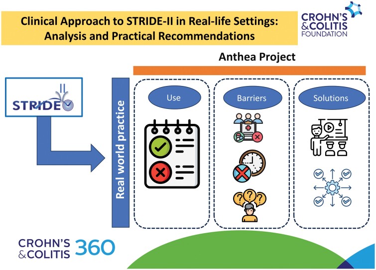 Clinical Approach to STRIDE-II in Real-Life Settings: Analysis and Practical Recommendations.