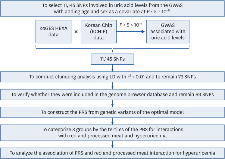 A combination of red and processed meat intake and polygenic risk score influences the incidence of hyperuricemia in middle-aged Korean adults.