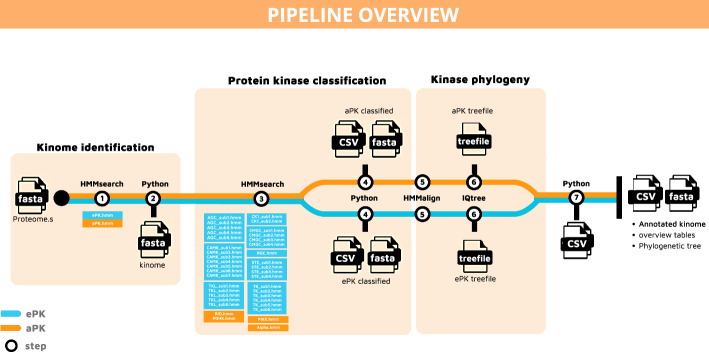 KiNext: a portable and scalable workflow for the identification and classification of protein kinases.