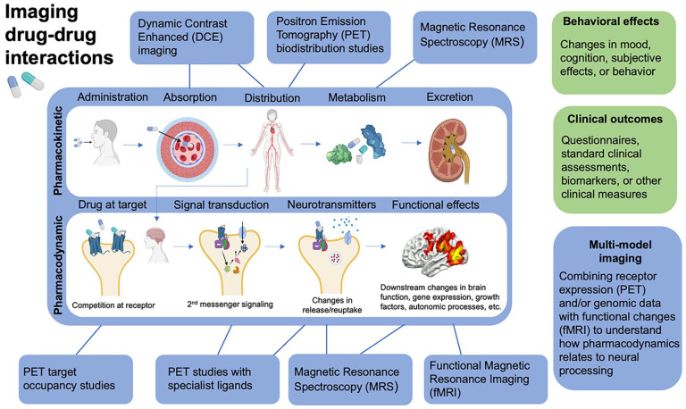 Neuroimaging and the Investigation of Drug-Drug Interactions Involving Psychedelics.