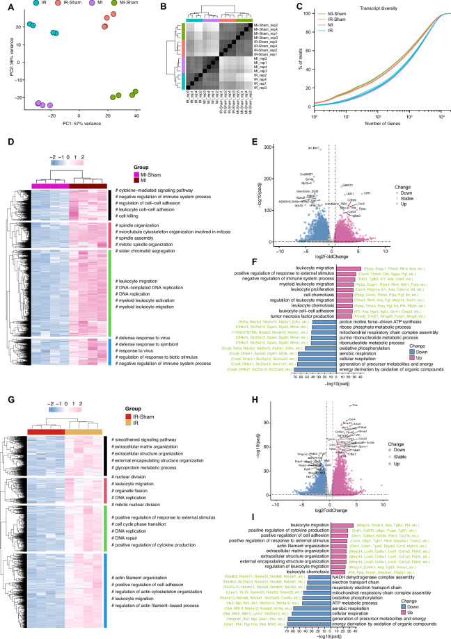 The alternative splicing landscape of infarcted mouse heart identifies isoform level therapeutic targets.
