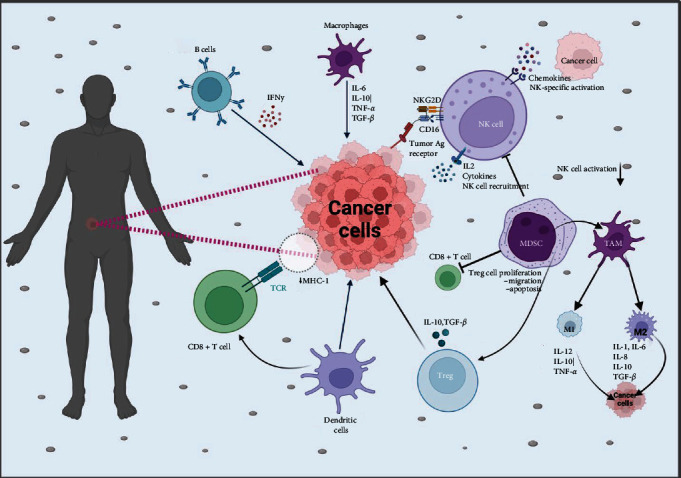 Tumour Immunotherapy and Applications of Immunological Products: A Review of Literature.