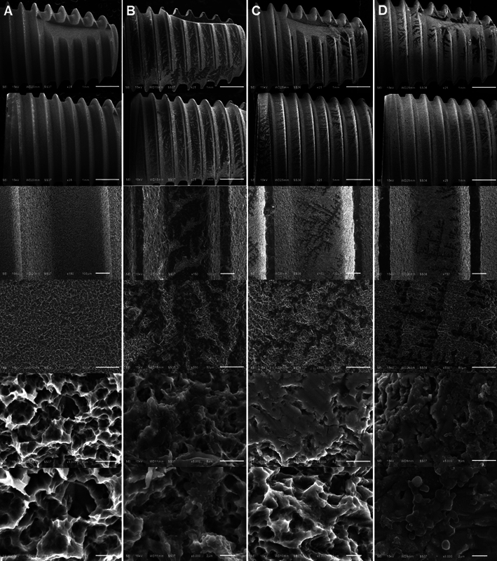 Abstract Image
